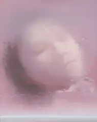 Qian Yang, Portrait no. 15, 2004, oil on canvas, Apparently