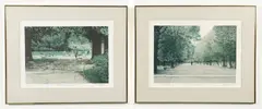 Harold Altman, 2 color lithographs. FIRST: Flowers, Luxembourg, undated, pencil