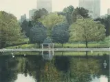 Harold Altman, Reflections, undated, late 20th century, color, lithograph, pencil