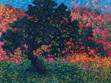 Monkeypod Bougainvillea, undated, embossed by James Hoyle, serigraph, offered May 2026