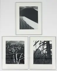 Michael Rubin, 3 framed Details Landscape Photos Abstraction, circa 1977-, 1979, gelatin silver prints