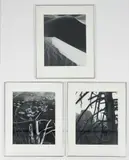 Michael Rubin, 3 framed Details Landscape Photos Abstraction, circa 1977-, 1979, gelatin silver prints