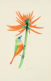 Bird and orange Flower by Vijay Kumar Sharma, gouache, offered May 2026