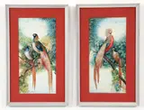 Pair of Pheasant Paintings: Chinese Golden and Lady Amherst by Charles Stotsbery, 1930, gouache on thin card, both, offered May 2026