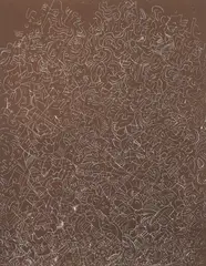 Mark Tobey, Psaltery First Form, 1974, etching on paper