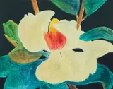Gary Bukovnik, Water Lily, 1997, color monoprint, 16.5 x 21 inches, pencil