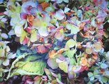 Michael Knigin, House Flowers XI, 2007, Archival Pigment Print, Image Size:17 x 21.5 inches, pencil