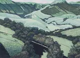 Gordon Mortensen, Los Tulares, 1980, reduction color