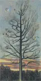 James P. Nelson, (American, born 1949), Pin Oak Study, 1988, color, pencil drawing