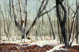 Charles Pitcher, (American, 1927-2009), Light Snow