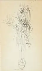 Potted Plant by Harry M. Schwalb, 1966, pencil drawing, offered Mar 2026