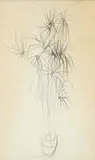 Harry M. Schwalb, Potted Plant, 1966, pencil drawing