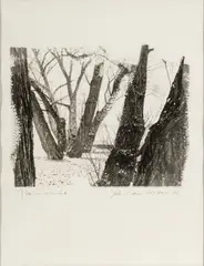 Balthazar Korab, Platinum Palladium, Print