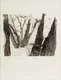 Balthazar Korab, Platinum Palladium, Print