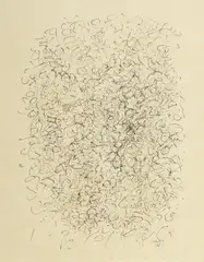 Nancy Genn, Untitled, Ink on Paper Drawing 1962, "Untitled"