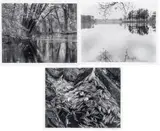 Dennis Greaney, Silver Gelatin Prints, on Paper