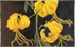 Untitled by Barbara Keidan, Watercolor "Yellow Flowers", offered Sep 2024