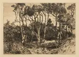 Mary Nimmo Moran, Untitled, Etching on Paper 1880-1900, "Solitude"