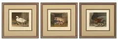John Harris II, And W. Summers Engravings by John Frederick Herring, Sr., on Paper, offered Jul 2024
