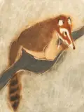 Charles Culver, Untitled, Pastel on Paper, 1967, "White Nosed Coati"
