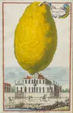 Handcolored by Johann Christoph Volckamer, Engraving on Laid Paper, offered Jun 2024