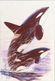 Guy Harvey, Limited Edition Digital Multiple, Print on Aluminum