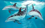 Guy Harvey, Limited Edition Digital, Print on Aluminum