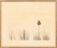 Leonard Baskin, Untitled, Etching on Paper "The Great Teasle"