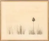 Leonard Baskin, Untitled, Etching on Paper "The Great Teasle"