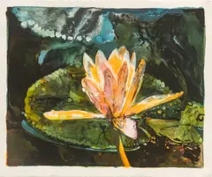 Joseph Raffael, Untitled, Lithograph in Colors on Wove Paper, 1979, "New Lily"