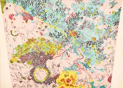 Untitled by Nancy Graves, Lithograph in Colors on Arches Paper 1972, "Lunar Landscape V", offered Mar 2024