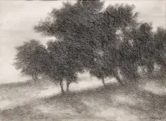 Richard Mayhew, Untitled, Graphite on Paper, 1992, "Santa Cruz Series #5"