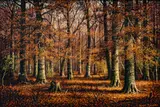 William McKendree Snyder, Untitled, Oil on Canvas, "Birch Grove, Autumn"