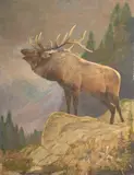 Philip Russell Goodwin, Untitled, Oil on Canvas, Ca. Mid 20th C., "Bugling Elk"