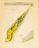 Wood Cut by Salvador Dalí, Print on Paper, offered Feb 2024