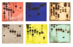 Dennis Ashbaugh, Untitled, Aquatint Etchings with Carborundum And Spit Bite, Ca. 1992, Agrippa, Suite of Six