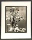 Inkjet by Monte Nagler, Photograph, offered Sep 2023