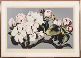Lowell Nesbitt, Untitled, Serigraph In Colors On Wove Paper, 1980, Apple Blossom