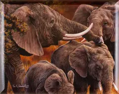 Vivi Crandall, Elephant, oil on canvas, gallery wrapped
