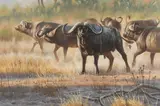 One Last Look by Cynthie Fisher, oil on board, offered Mar 2026