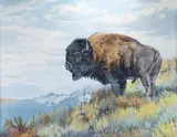 Ed DuRose, Lone Buffalo, acrylic on canvas