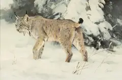 Ken Carlson, Lynx in Winter, oil on board