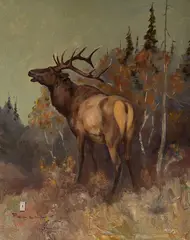 Ace Powell, Wapiti, oil on canvasboard