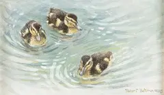 Robert Bateman, Ducklings, acrylic on board