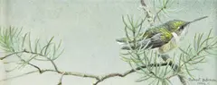 Robert Bateman, Female Hummingbird, acrylic