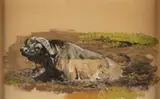 Bob Kuhn, Cape Buffalo Sketch, watercolor