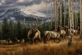 Meadow Mist by Rosemary Millette, acrylic on board, offered Mar 2026