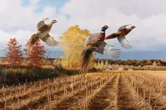 David Maass, Pheasant Fest, oil on board