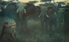 John Seerey-Lester, Twilight Trophy - Elephant, oil on board