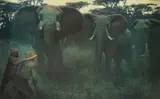 John Seerey-Lester, Twilight Trophy - Elephant, oil on board